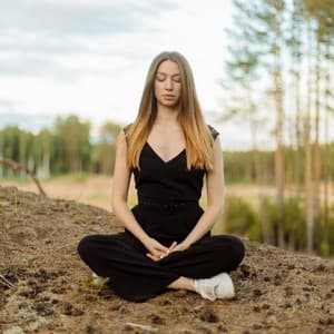 Serenity Meditation: Music for Calmness and Focus - The Meditations