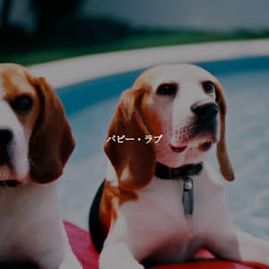 パピー・ラブ - Jazz Classique