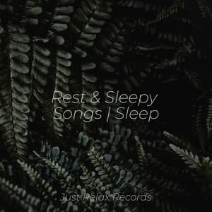 Rest & Sleepy Songs | Sleep - Study Hard