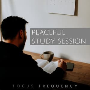 Peaceful Study Session - Focus Frequency