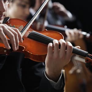 Twilight Orchestra: Music for Evening Calm - Charles Anderson