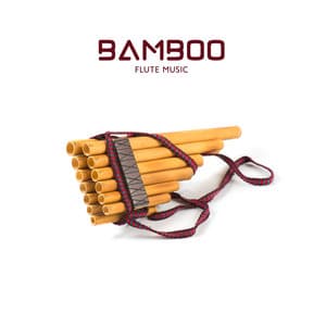 Bamboo Flute Music - Flute Music Ensemble