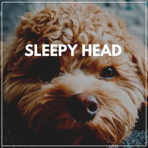 Sleepy Head - Sleep Ambience