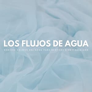 Los Flujos De Agua: Sonidos Calmos Del Agua Para Sentirse Bien Y Relajado - Sonidos De Oceano