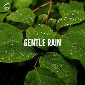 Gentle Rain - Relaxing Rain Recordings