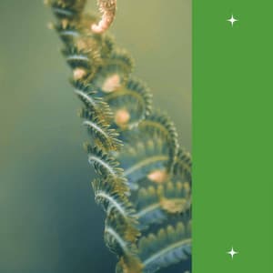 Energetic - Refreshing Tracks