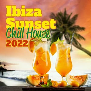 Ibiza Sunset Chill House 2022: The Best Chilled Grooves Selection, Deep Party Vibes - Dj Beats EDM