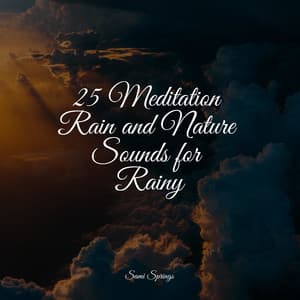 25 Meditation Rain and Nature Sounds for Rainy - The Relaxation Principle