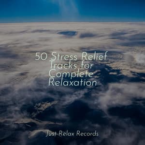 50 Stress Relief Tracks for Complete Relaxation - Musica romantica instrumental
