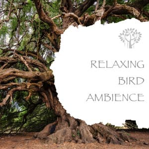 Relaxing Bird Ambience - Natural Spirit