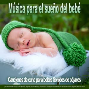 Música para el sueño del bebé: Canciones de cuna para bebes Sonidos de pájaros y música relajante para el sueño del bebé, relajación, música de fondo, música para dormir para bebés, bebé con cólicos con sonidos relajantes de la naturaleza. - Canciones de cuna para bebés