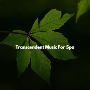 Transcendent Music For Spa - Música para Descansar