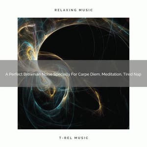 A Perfect Brownian Noise Specially For Carpe Diem, Meditation, Tired Nap - White Noise Healing Center
