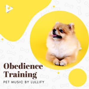 Obedience Training - Pet Music by Lullify