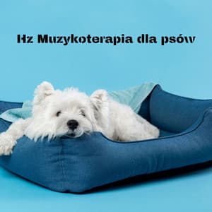 Hz Muzykoterapia dla psów: Kojące dzwięki dla uszu psa, Relaksujący spokój dla zwierząt samych w domu - Częstotliwość 432Hz