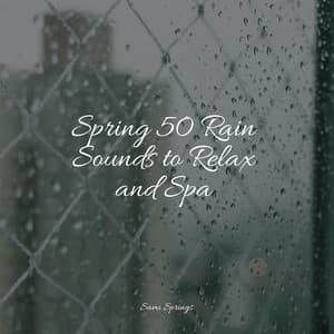 Spring 50 Rain Sounds to Relax and Spa - meditacou musica ambiente