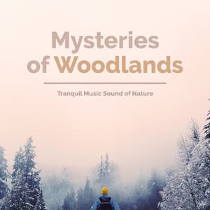 Mysteries of Woodlands - Tranquil Music Sound of Nature