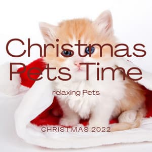 2 0 2 2 Christmas Pets Time - Songs for Dogs to Sleep To