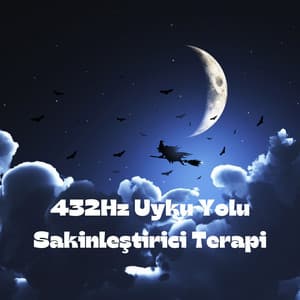 432Hz Uyku Yolu: Sakinleştirici Terapi, Yatma Zamanı Meditasyonu, Rahatlatıcı Şifa, Uykusuzluk için Müzik - Rahatla Müzik