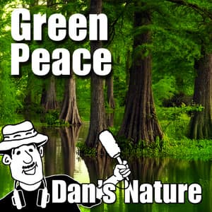 Green Peace - Dan's Nature
