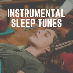 Instrumental Sleep Tunes - Sleep Music Dreams