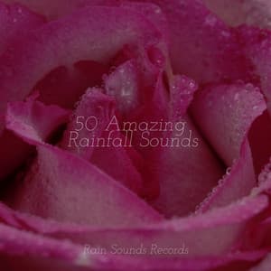 50 Amazing Rainfall Sounds - Brain Study Music Guys