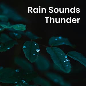 Rain Sounds Thunder - Nature Noise