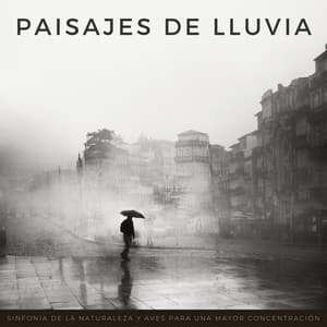Paisajes De Lluvia: Sinfonía De La Naturaleza Y Aves Para Una Mayor Concentración - Relajarse Lluvia