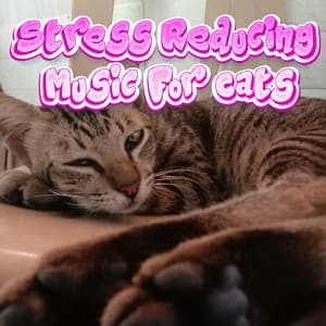 Soothing Background Music For Cats Kittens Stress Reduction - Stress Reducing Music For Cats