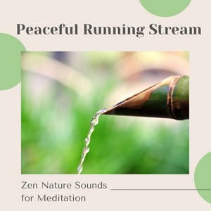 Peaceful Running Stream - Zen Nature Sounds for Meditation - 125 Nature Sounds