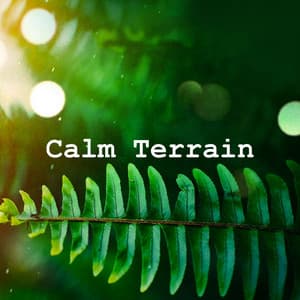 Calm Terrain - Nature's Mirror