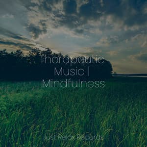 Therapeutic Music | Mindfulness - Meditation Awareness