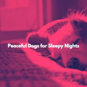 Peaceful Dogs for Sleepy Nights - Musica di Natale Musica Di Sottofondo