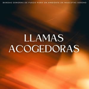 Llamas Acogedoras: Bandas Sonoras De Fuego Para Un Ambiente De Mascotas Sereno - Maestro de muestras de chimenea
