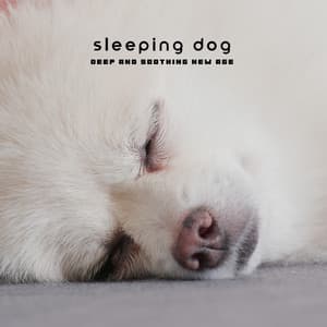 Sleeping Dog – Deep and Soothing New Age Pet Time - Pets Music