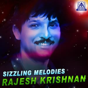 Sizzling Melodies Rajesh Krishnan - Rajesh Krishnan