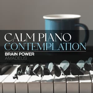 Calm Piano Contemplation - Brain Power Amadeus