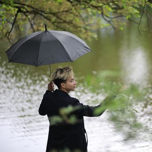 Drizzle of Dreams: Rain Soundscapes for Inner Peace - Rain Therapy