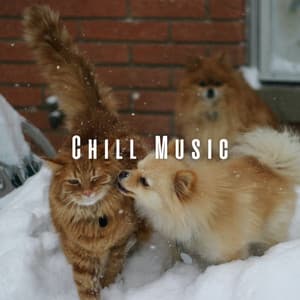 Chill Music: Lofi Pet Tunes for Stress Relief - Base De Rap
