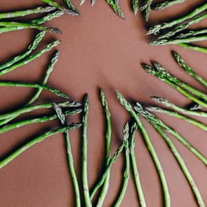 Stil Sleep Baby Noise - Baby Sleep Zone