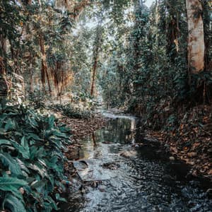 Lakeside Spa by Moonlight: Relaxing Music Water - Water Way