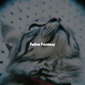 Feline Fantasy - Easy Relaxing Acoustics