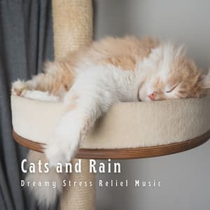 Cats and Rain: Dreamy Stress Relief Music - Olivia Rain