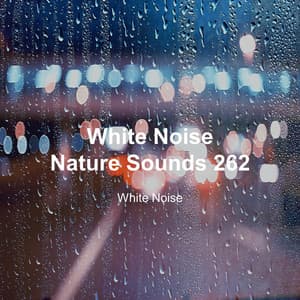 White Noise 262 - White Noise