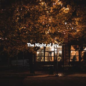 The Night of Joy - Jazz Lounge Bar Radio