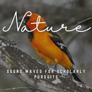 Harmonic Cognition: Sound Waves for Scholarly Pursuits - Inner Peace Channel