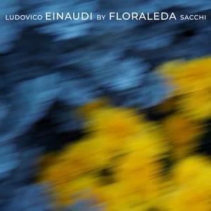 Ludovico Einaudi by Floraleda Sacchi - Floraleda Sacchi