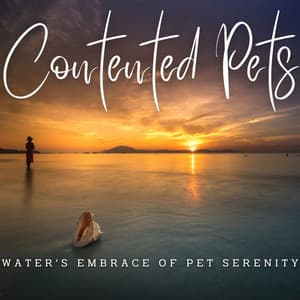 Ambient Waterscapes: Binaural Harmony for Contented Pets - Binaural Doctor
