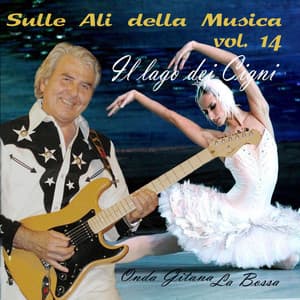 Sulle ali della musica, Vol. 14 - Cicci Guitar Condor