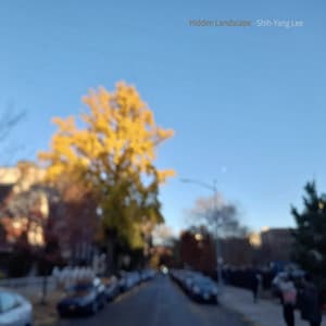 Hidden Landscape - Shih-Yang Lee